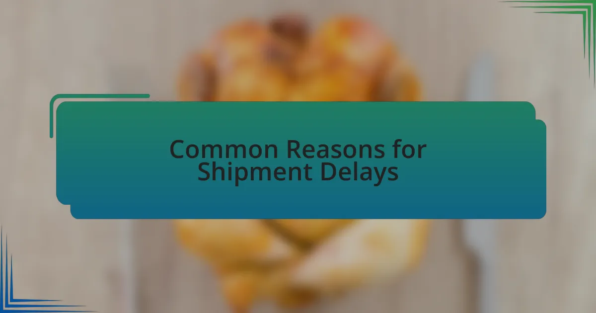 Common Reasons for Shipment Delays