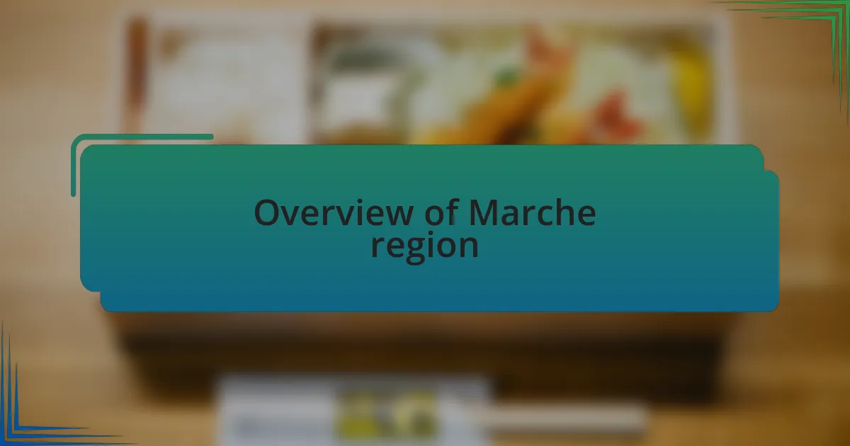 Overview of Marche region